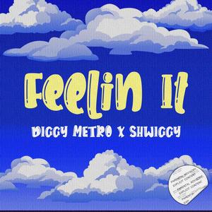 feelin it (feat. Shwiggy) [Explicit]