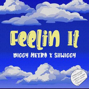 feelin it(feat. Shwiggy) (Explicit)