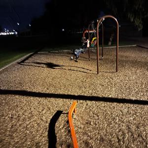 Bury Me A Grave (Explicit)