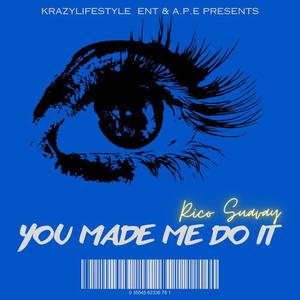 You Made Me Do It (Explicit)