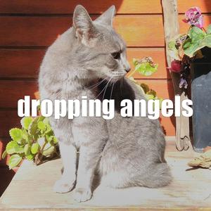 dropping angels