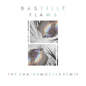 Flaws (The Chainsmokers Remix)
