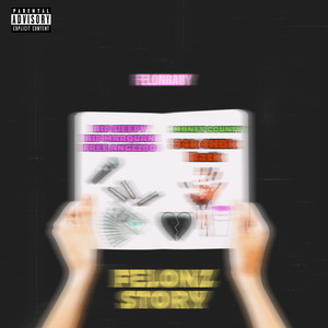 Felonz Story (Explicit)