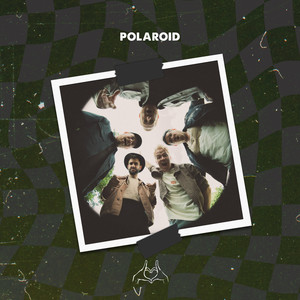 Polaroid