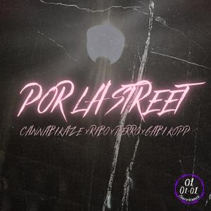Por La Street (feat. Cannabikaze, Ribo, Perro & Gabi Kopp) (Explicit)