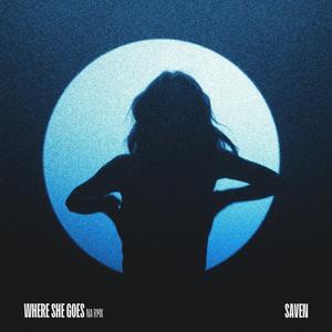WHERE SHE GOES (NA RMX|Explicit)