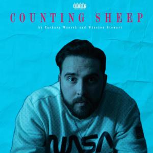 Counting Sheep (feat. Winston Stewart) (Explicit)