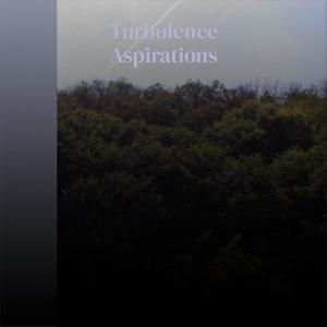 Turbulence Aspirations