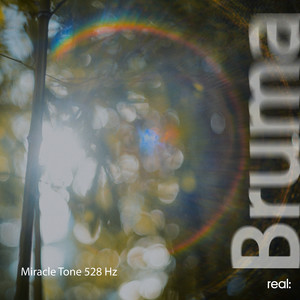 Miracle Tone 528 Hz