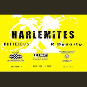 Harlemites (feat. R' Dynasty) [Explicit]