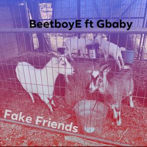 Fake Friends (Explicit)