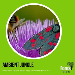Ambient Jungle - Whispering Sounds of Waters, Winds and Woodpeckers, Vol. 2