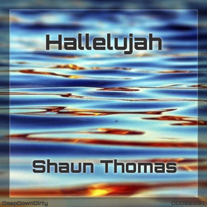 Hallelujah (Original Mix)