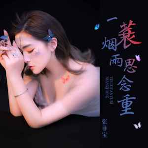 一蓑烟雨思念重 (DJ版伴奏)
