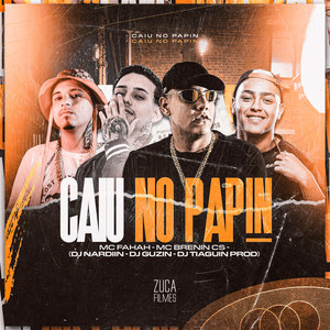 Caiu no Papin