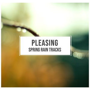 #18 Pleasing Spring Rain Tracks for Sleep