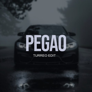 Pegao (Turreo Edit)