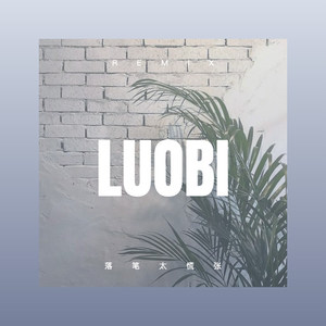 人生是一次热血的流浪 (DJ版)