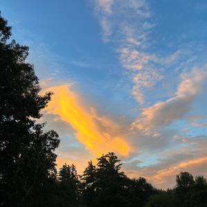 Baggy Jeans (Explicit)