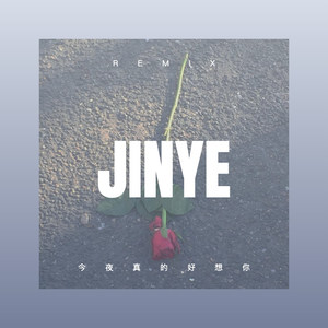 今夜真的好想你 (DJ版)