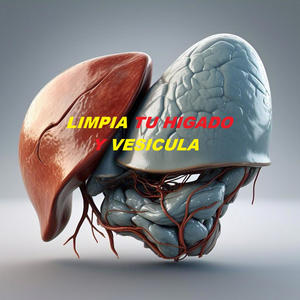 Limpia tu HIGADO y VESICULA