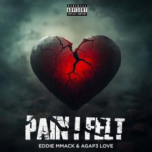 Pain I Felt (Explicit)