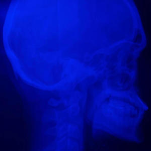 what you're dealt with (Explicit)