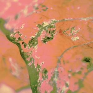 the Gorgeous Dissonance