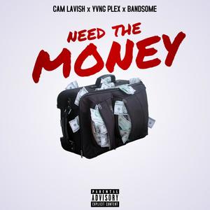 Need The Money(feat. Cam Lavish & Bandsome) (Explicit)