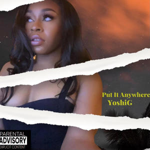 Put it Anywhere (Explicit)