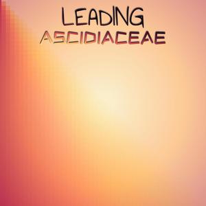 Leading Ascidiaceae