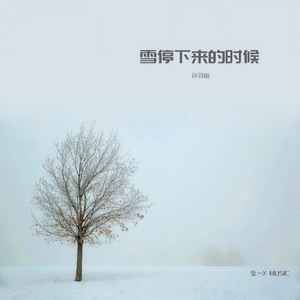 雪停下来的时候封面