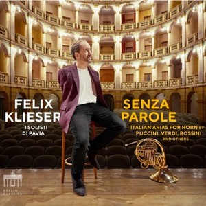 O sole mio (Arr. For Horn and Orchestra by Wolfgang Renz)