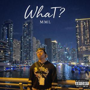 WhaT¿ (Explicit)