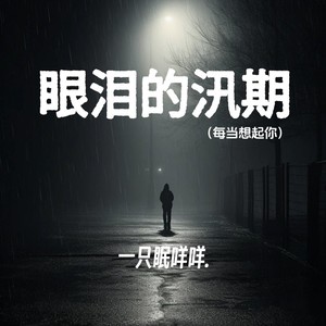 眼泪的汛期 (每当想起你)封面