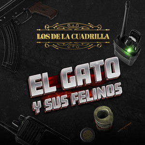 El Gato Y Sus Felinos