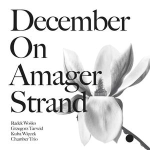 December on Amager Strand
