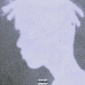 ACTIVIST (Explicit)