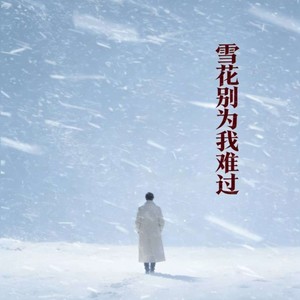 雪花别为我难过