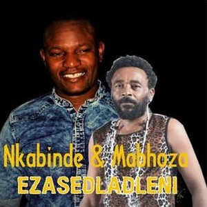 Ezasedladleni