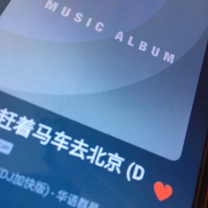 赶着马车去北京 环绕版 (改编版原唱: 宇海文|Remix|环绕版)