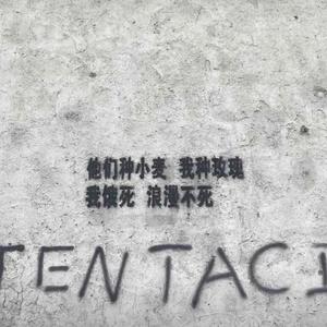如 听 仙 乐 耳 暂 鸣
