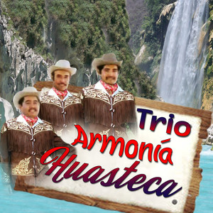 Trio Armonia Huasteca