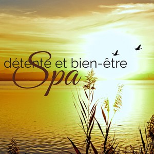 Spa détente et bien-être - Musique d'ambiance pour espace émotionnel, relaxation zen avec musique anti stress pour massage, sauna et méditation yoga