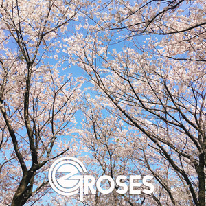 CGZROSES - Miss you