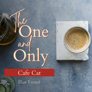 The One and Only - Cafe Cat