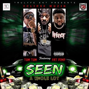 Seen a whole lot(feat. Tum Tum & Fat Pimp) (Explicit)