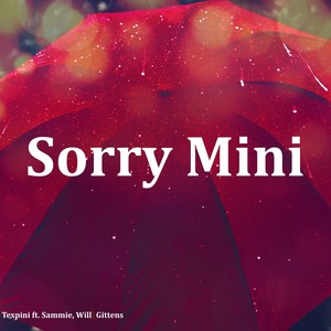 Sorry Mini