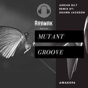 Mutant Groove (Shawn Jackson Remix)