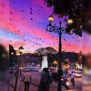 teen romance (Explicit)